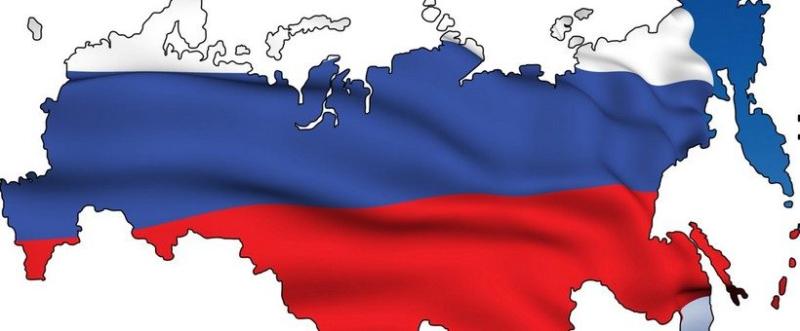 Сертификат СТ-1 для госзакупок: зачем он нужен и как его получить